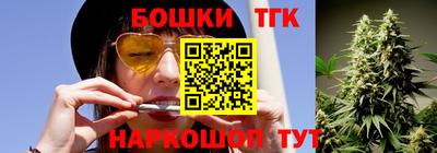 мдпв Татарск