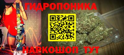 мдпв Татарск