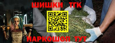 мдпв Татарск