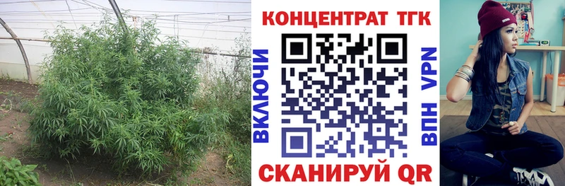Дистиллят ТГК вейп с тгк  Чусовой 