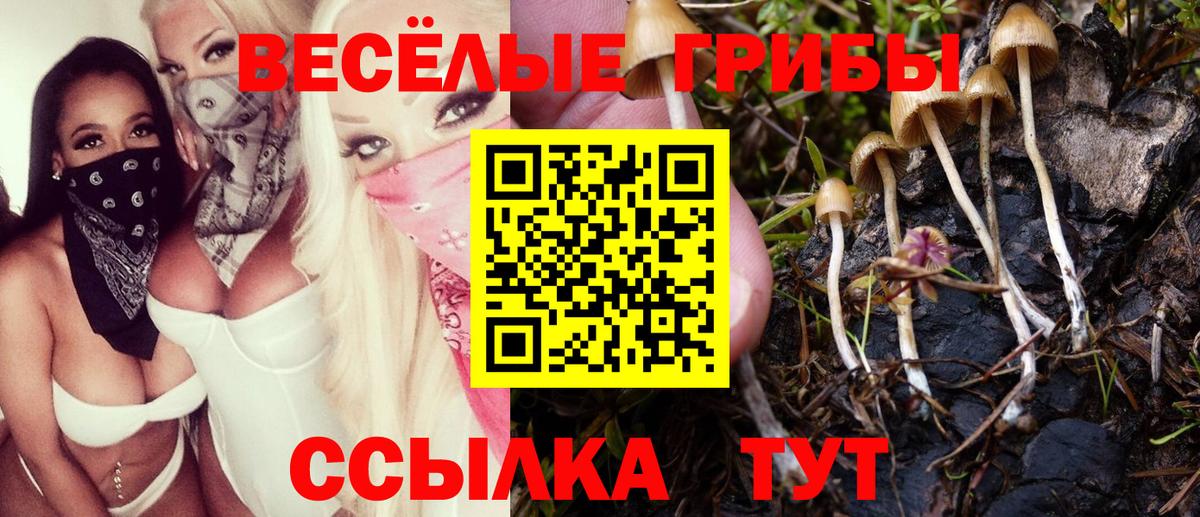 Галлюциногенные грибы Magic Shrooms Чусовой