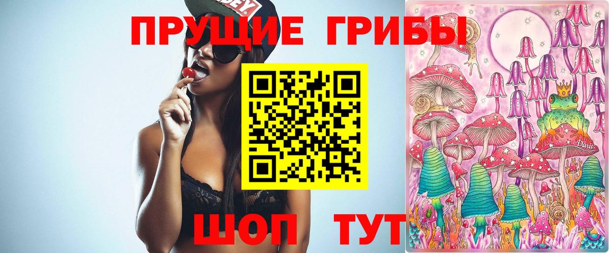 Галлюциногенные грибы мицелий  Галлюциногенные грибы Psilocybe  Чусовой  дарнет шоп  Вход с VPN 