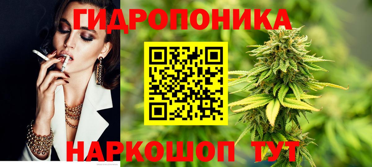 Бошки марихуана план  Бошки Шишки MAZAR  МАРИХУАНА Ganja  Конопля конопля  Чусовой  Вход с VPN 